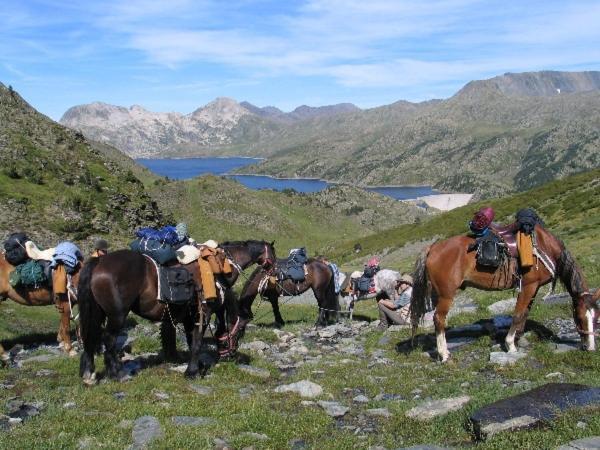 Charmant T3 "Les Cerdans" Porte-Puymorens Luaran gambar